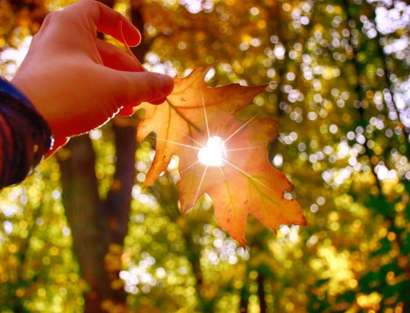 Погода в Сарнах