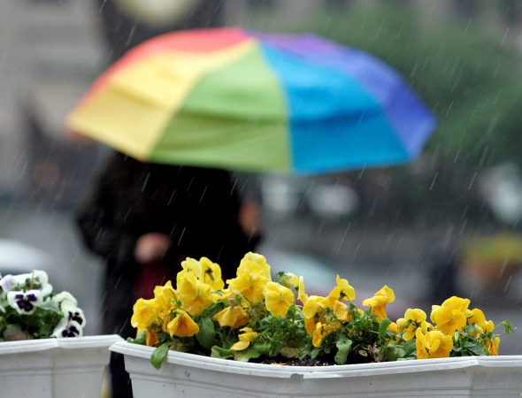 Погода в Костополі