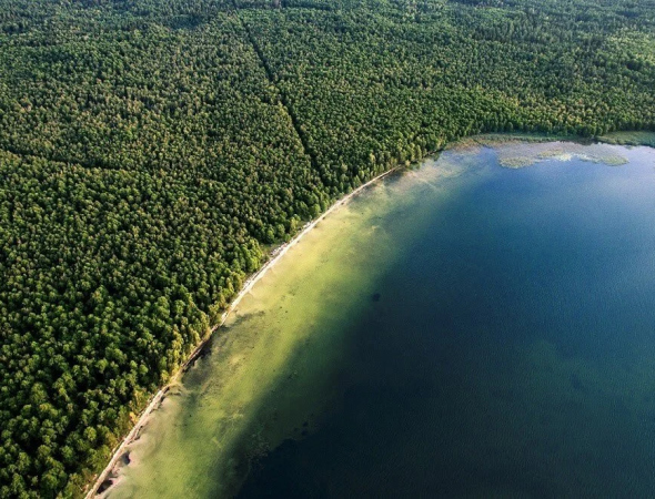 Біле озеро — перлина Рівненського Полісся