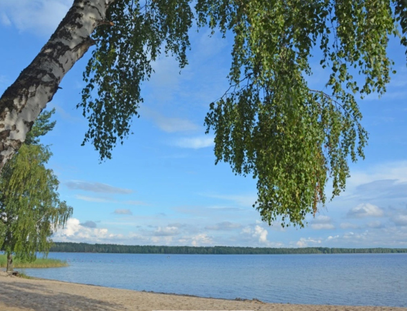 Погода на Білому озері — коли найкраще відпочивати на перлині Полісся