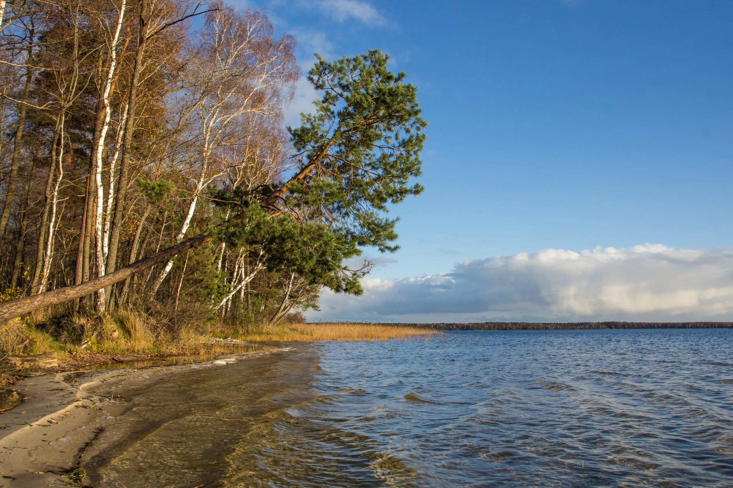 Рівненський природний заповідник