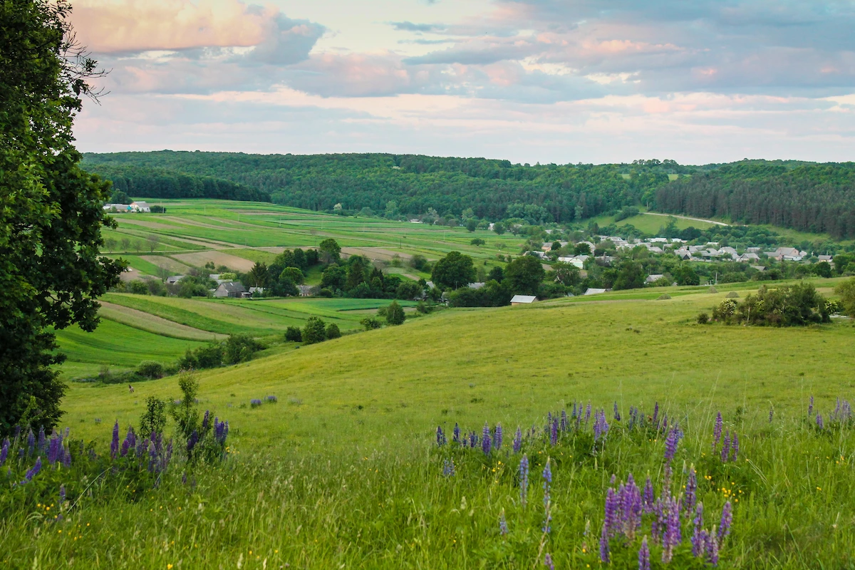 Національний природний парк "Дермансько-Острозький"